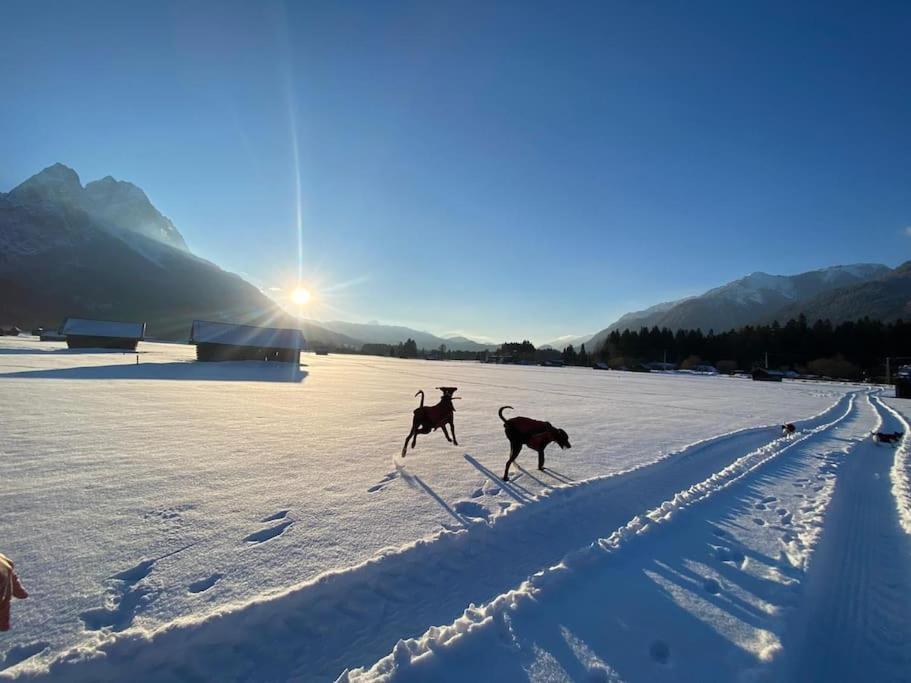 Zentral, Ruhig & Stilvoll Mit Bergpanorama+ Garten Garmisch-Partenkirchen Ngoại thất bức ảnh