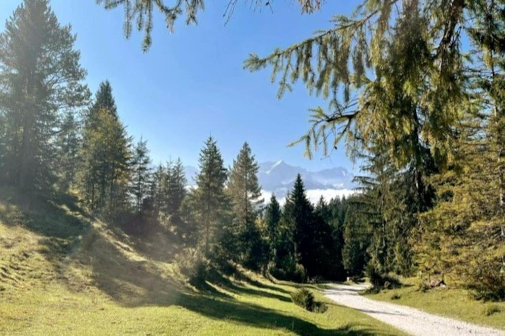 Zentral, Ruhig & Stilvoll Mit Bergpanorama+ Garten Garmisch-Partenkirchen Ngoại thất bức ảnh